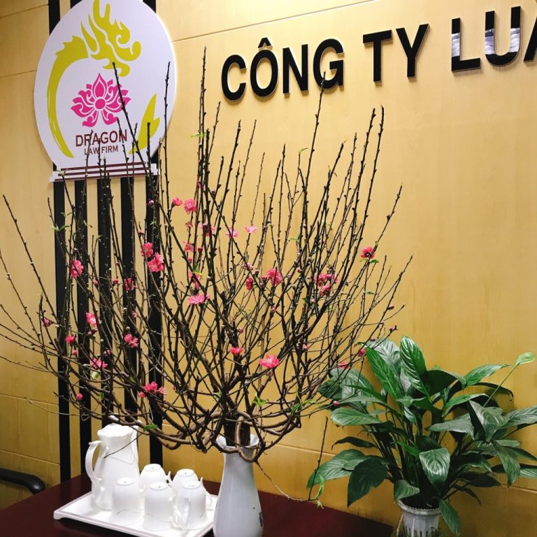 Điều 205 Bộ luật Hình sự quy định về tội lập quỹ trái phép