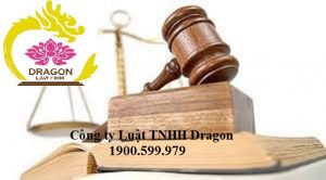 Thuê hai luật sư bào chữa cho Bị cáo trong vụ án hình sự