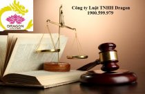 Mẫu đơn đề nghị cấp lại / thay đổi nội dung giấy phép thành lập của chi nhánh, công ty luật nước ngoài TP-LS-17