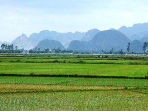 Quyền sử dụng hạn chế bất động sản liền kề