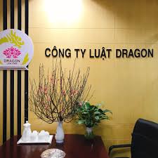 Luật sư tư vấn pháp luật Việt Nam như thế nào?