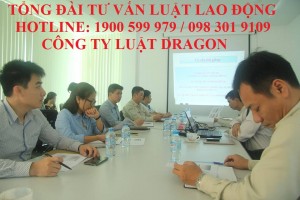 Luật sư chuyên tư vấn pháp luật Lao động