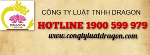 Luật sư chuyên thủ tục xin giấy phép con về kinh doanh lữ hành nội địa