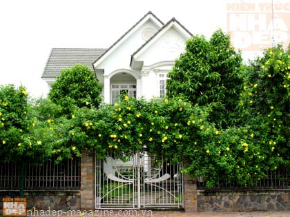 Văn phòng luật sư tư vấn pháp luật về thừa kế đất nhà ở không di chúc
