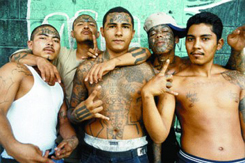MS13, băng đảng nguy hiểm nhất thế giới