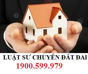 Văn phòng luật sư Dragon chuyên tư vấn về thủ tục tách thửa đất trồng cây lâu năm