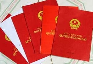 Văn phòng luật sư Dragon tư vấn về thủ tục sang tên sổ đỏ