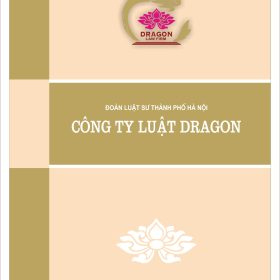 Văn phòng luật sư tại Hà nội cùng Doanh nghiệp đồng hành Vanphongluatsudragon