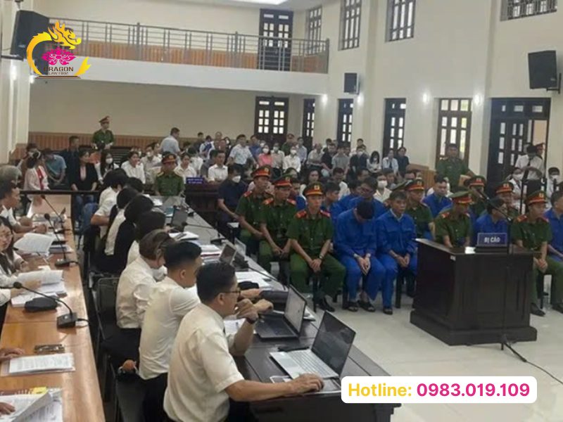 Luat Su De Nghi Xem Xet Giam Nhe Hinh Phat Cho Bi Cao Nguyen Trung Quan Trong Dai An Tap Doan Tuan An Va Dien Luc Binh Thuan