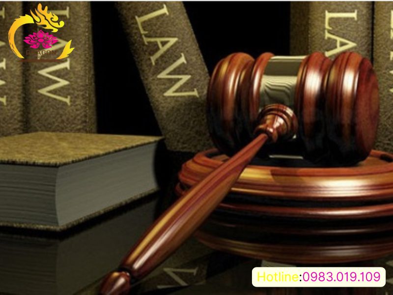 luật sư tư vấn pháp lý giúp đối phó với các rủi ro trên thị trường