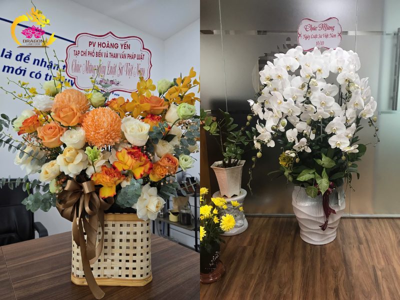 Công ty Luật TNHH Dragon vinh dự nhận Giấy khen của Đoàn Luật sư TP Hà Nội Phu Gia Chong Tich Dien Nhua 10