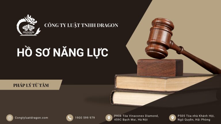Hồ sơ năng lực Công ty Luật Dragon – trang 1